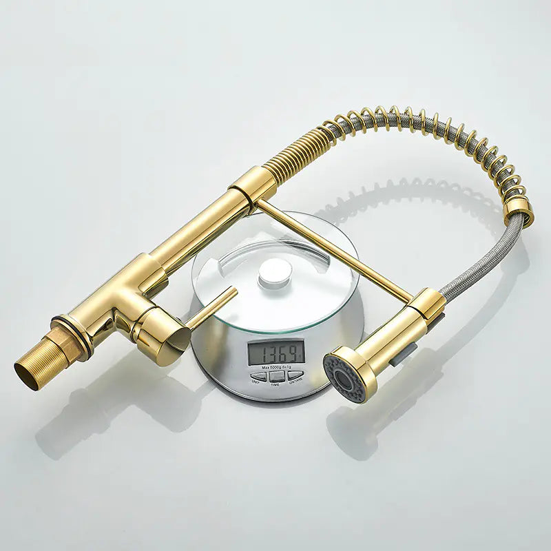 DANWEILE Brass Spring Kitchen Faucet with Pull-Down Spray