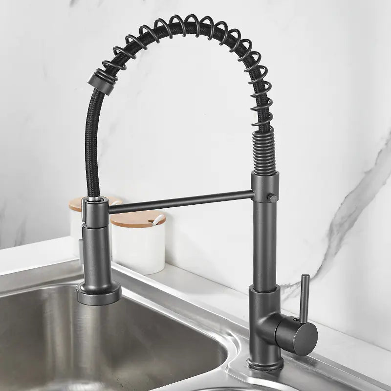 DANWEILE Brass Spring Kitchen Faucet with Pull-Down Spray