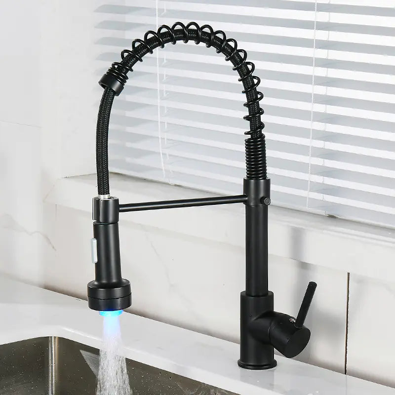 DANWEILE Brass Spring Kitchen Faucet with Pull-Down Spray