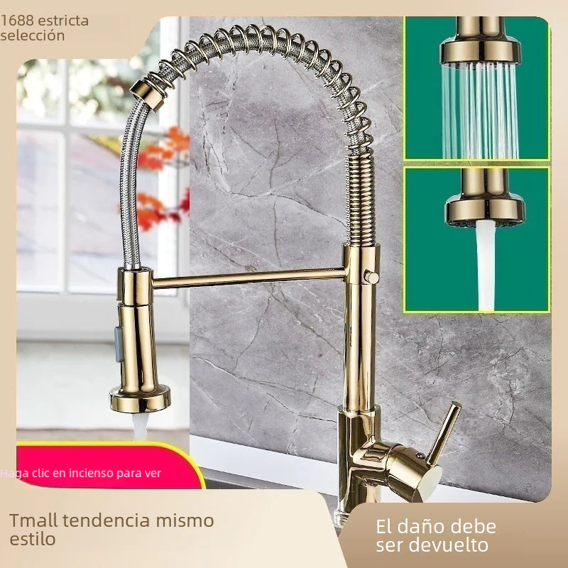 DANWEILE Brass Spring Kitchen Faucet with Pull-Down Spray
