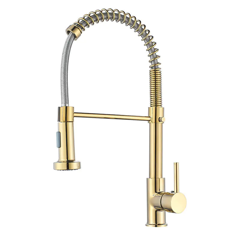 DANWEILE Brass Spring Kitchen Faucet with Pull-Down Spray