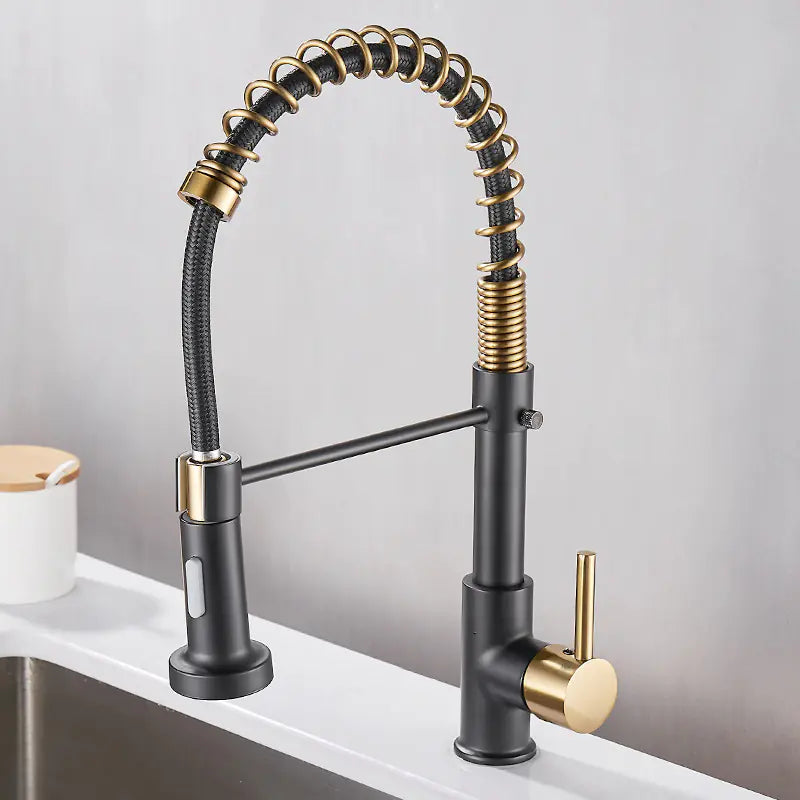 DANWEILE Brass Spring Kitchen Faucet with Pull-Down Spray