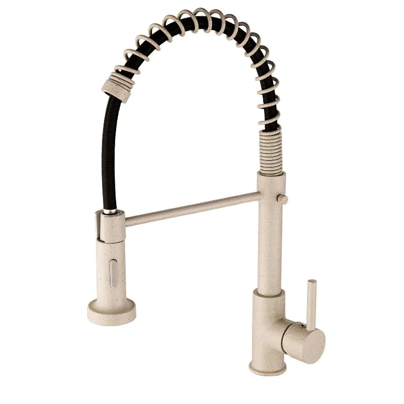 DANWEILE Brass Spring Kitchen Faucet with Pull-Down Spray