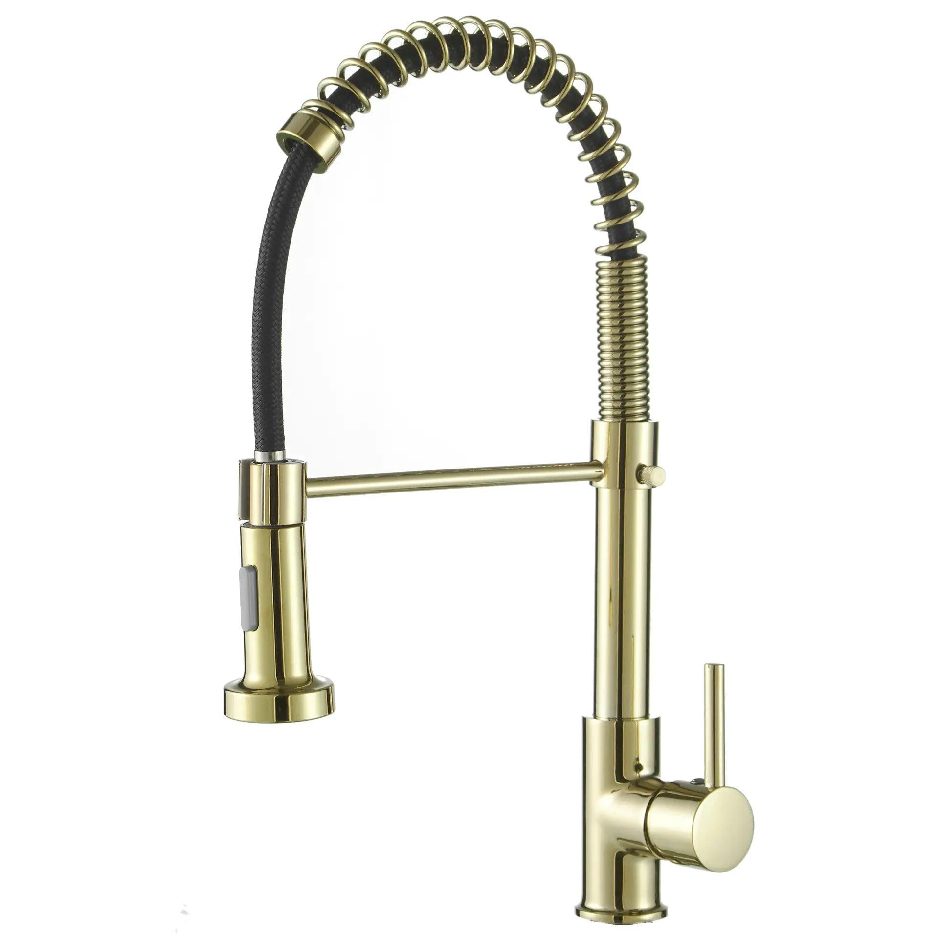 DANWEILE Brass Spring Kitchen Faucet with Pull-Down Spray