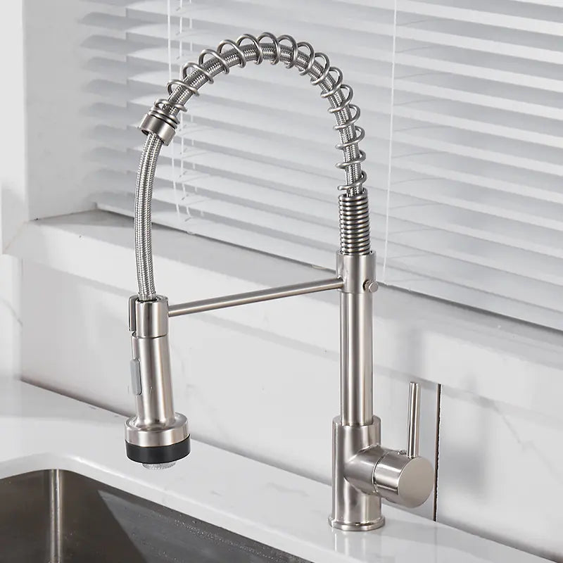 DANWEILE Brass Spring Kitchen Faucet with Pull-Down Spray